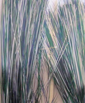 ������� ������ flashabow accent  Cold Water  ( blue / silver / green ) �5 China